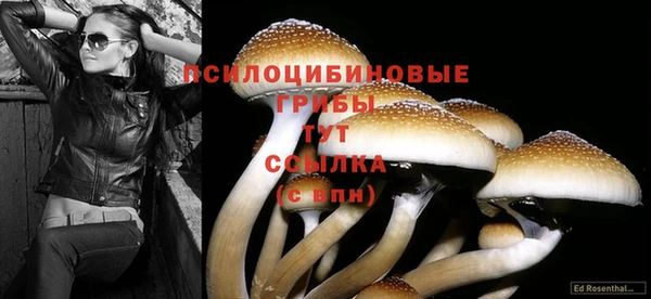 2c-b Медвежьегорск