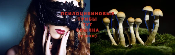 ешки Фёдоровский