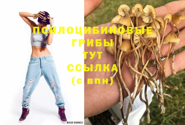 spice Нестеровская