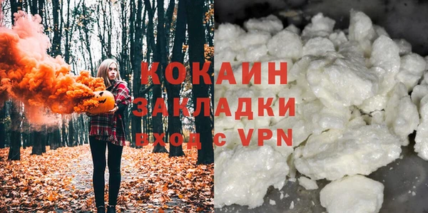 PSILOCYBIN Волосово