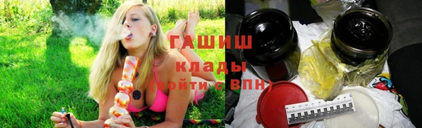 шишки Магас
